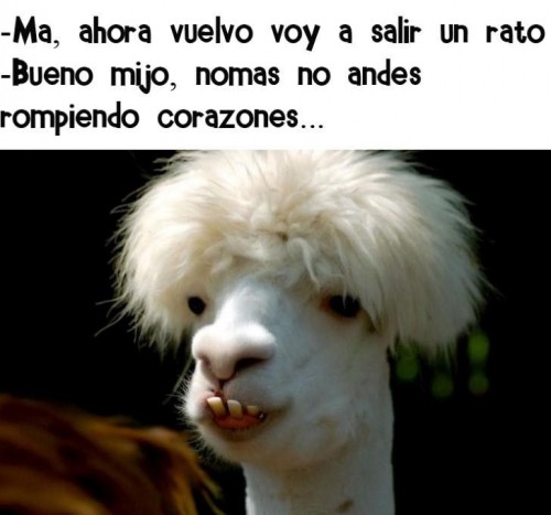 rompiendo-corazones.jpg