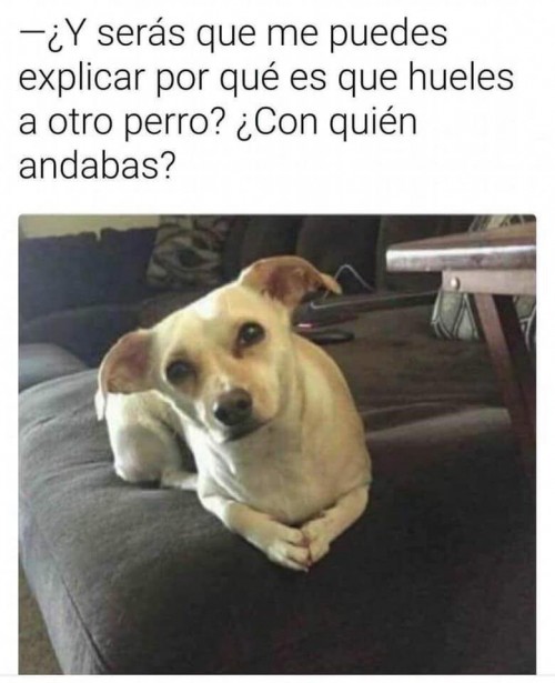 con-quien-andabas.jpg
