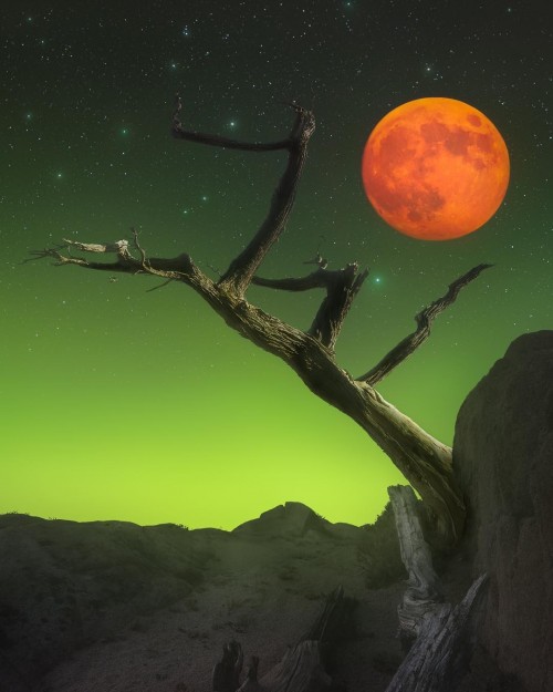 la-luna-mas-linda-del-mundo.jpg