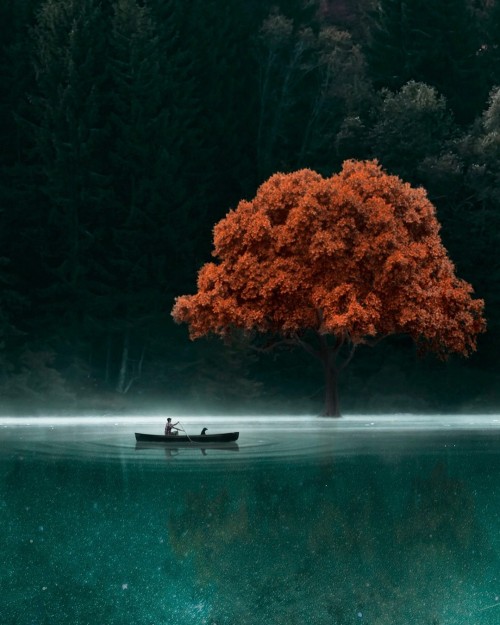 fondo-1.jpg