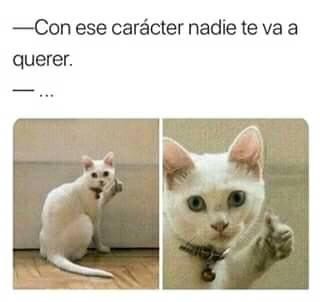 con-ese-caracter-nadie-te-va-querer.jpg