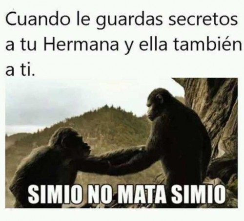 simio-no-mata-simio.jpg
