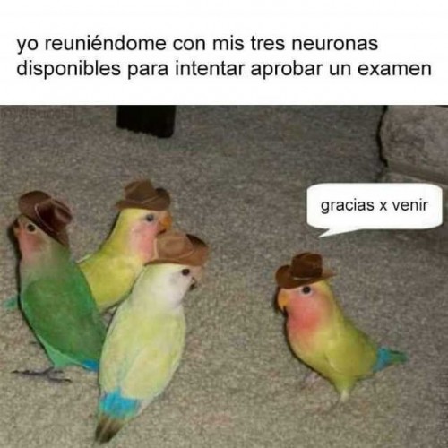 yo-reuniendome-con-mis-3-neuronas.jpg