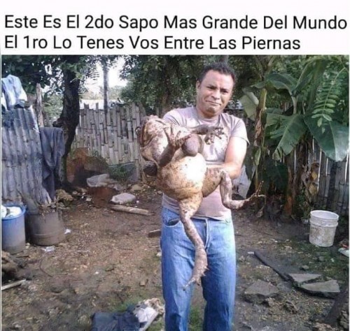 memes-graciosos-2.jpg