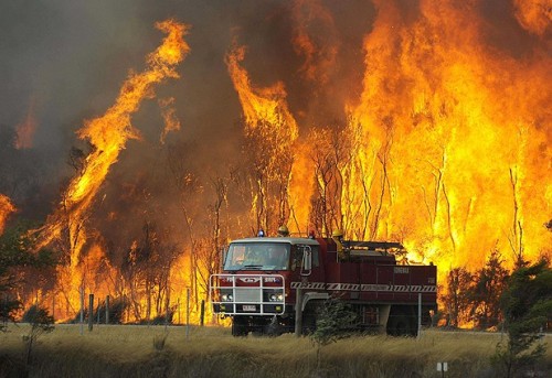 australia.jpg