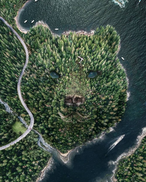 insla-de-osos.jpg