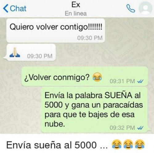 ex-en-linea.jpg