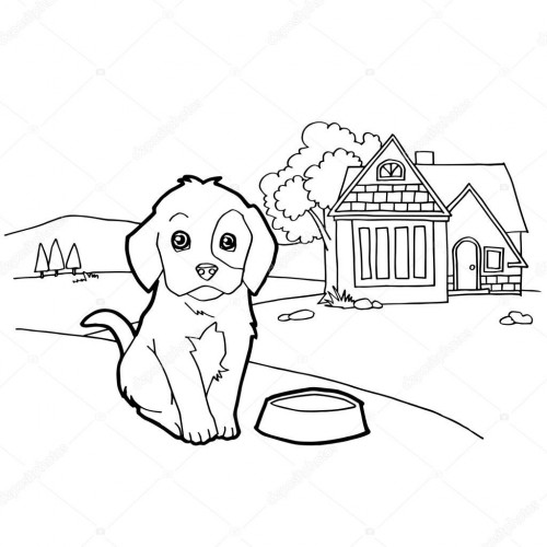 perrito.jpg