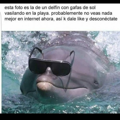 6b6765f90b01ec8b60095d0fe2ae3ffa.jpg