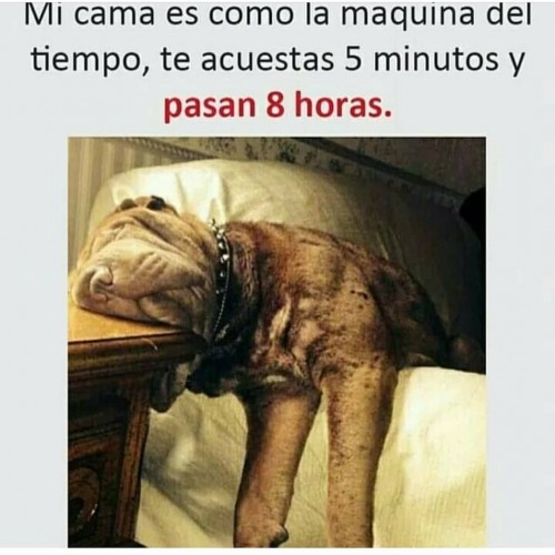 9734f8647d324cb93ad0a469e75605f5.jpg