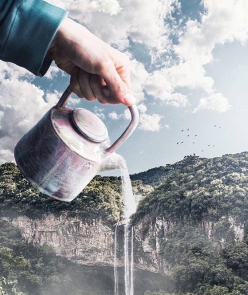 pava-y-cascada.jpg