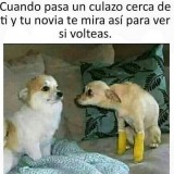 meme-Cuando-pasa-un-culazo-cerca-de-ti-y-tu-novia-te-mira-asi-para-ver-si-volteas