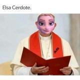 Elsa-Cerdote-meme