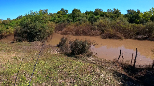 pescando-1.png