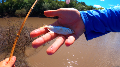 pescando-13.png