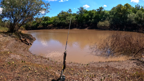 pescando-19.png