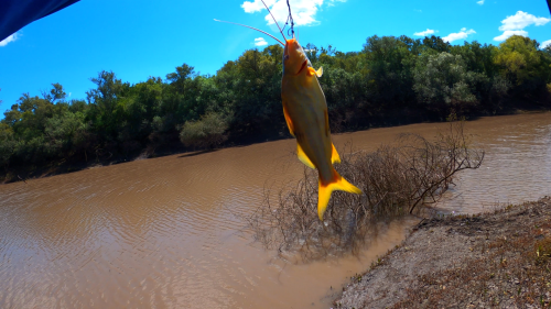 pescando-20.png