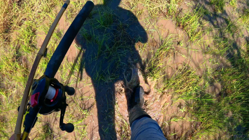 pescando-3.png
