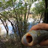 pescando-palometas-y-cocinando-boga-a-la-estaca-en-el-rio-correntoso-22