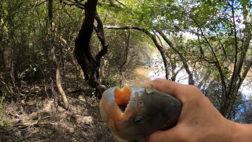 pescando-palometas-y-cocinando-boga-a-la-estaca-en-el-rio-correntoso-23.png
