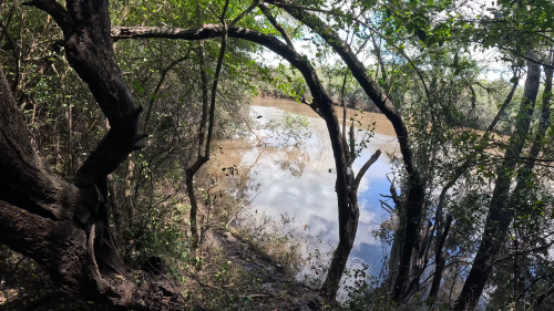 pescando-palometas-y-cocinando-boga-a-la-estaca-en-el-rio-correntoso-28.png