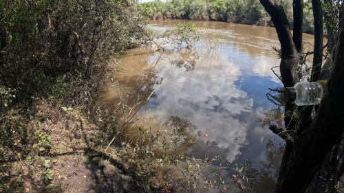 pescando-palometas-y-cocinando-boga-a-la-estaca-en-el-rio-correntoso-29.png