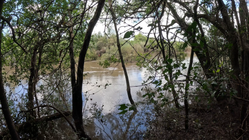 pescando-palometas-y-cocinando-boga-a-la-estaca-en-el-rio-correntoso-3.png