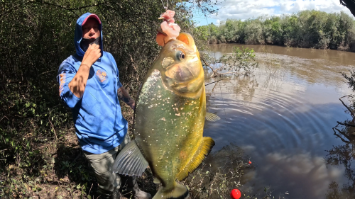 pescando-palometas-y-cocinando-boga-a-la-estaca-en-el-rio-correntoso-31.png