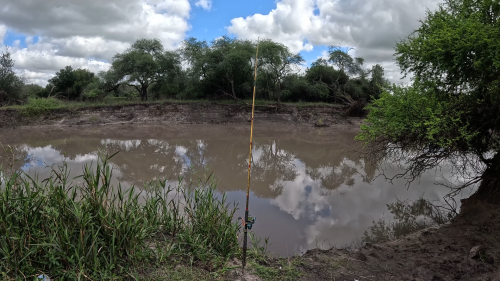 Pescando-en-un-rio-lleno-de-tarariras-y-bagres-sapos-1.png