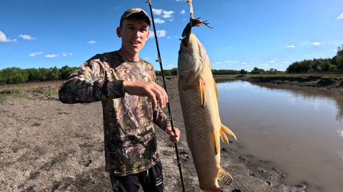 Pescando-en-un-rio-lleno-de-tarariras-y-bagres-sapos-23.png