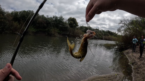 pesca-en-arroyo-12.png