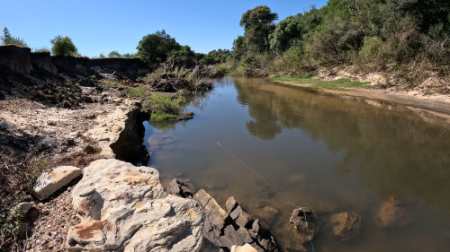 Pescando-y-cocinando-pollo-asado-al-limon-en-la-Cascadita-de-Dri-27.png