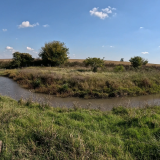 Dia-de-pesca-en-Colonia-Baylina-10