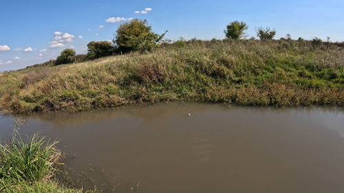 Dia-de-pesca-en-Colonia-Baylina-13.png
