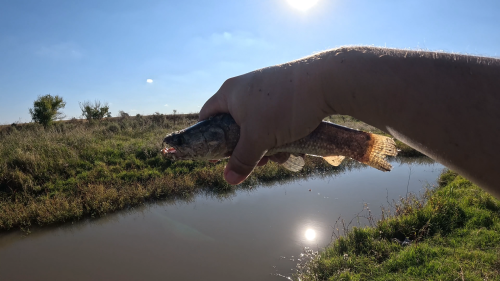 Dia-de-pesca-en-Colonia-Baylina-19.png