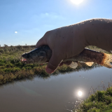 Dia-de-pesca-en-Colonia-Baylina-19