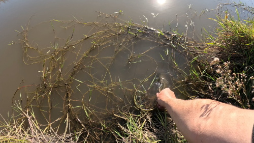 Dia-de-pesca-en-Colonia-Baylina-21.png