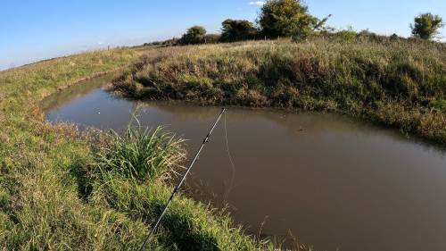 Dia-de-pesca-en-Colonia-Baylina-24.png
