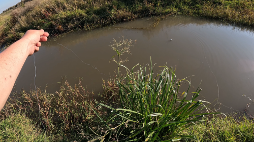 Dia-de-pesca-en-Colonia-Baylina-25.png