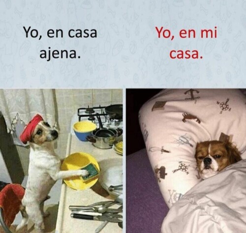 memes-chistosos.jpg