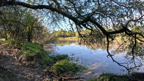 Dia de pesca y carne asada en un arroyo de Herrera Entre Rios 2