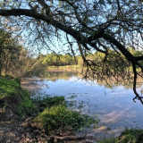 Dia-de-pesca-y-carne-asada-en-un-arroyo-de-Herrera-Entre-Rios-2