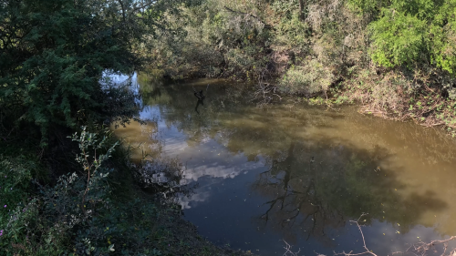 Dia-de-pesca-y-carne-asada-en-un-arroyo-de-Herrera-Entre-Rios-26.png