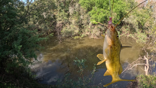 Dia-de-pesca-y-carne-asada-en-un-arroyo-de-Herrera-Entre-Rios-30.png