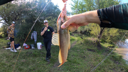 Dia-de-pesca-y-carne-asada-en-un-arroyo-de-Herrera-Entre-Rios-7.png