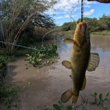 Dia-de-pesca-y-carne-asada-en-un-arroyo-de-Herrera-Entre-Rios-9