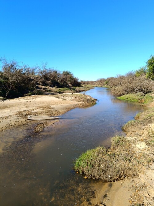 Pescando-y-cocinando-carne-asada-en-el-Paraiso-Entrerriano-16.jpg