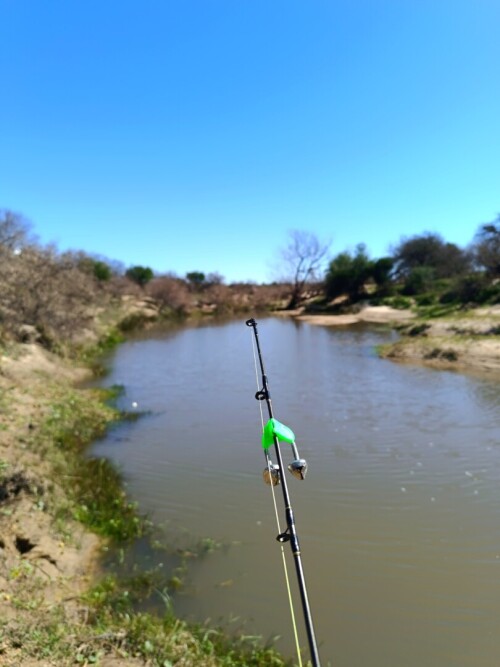 Pescando-y-cocinando-carne-asada-en-el-Paraiso-Entrerriano-8.jpg