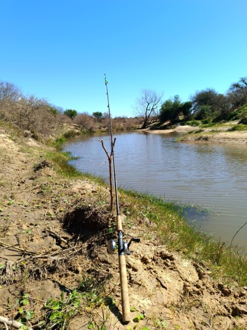 Pescando-y-cocinando-carne-asada-en-el-Paraiso-Entrerriano-9.jpg