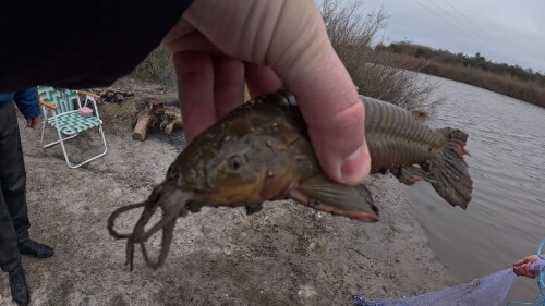 Pescando-y-cocinando-un-buen-asado-en-el-Rio-Gualeguay-2.jpg